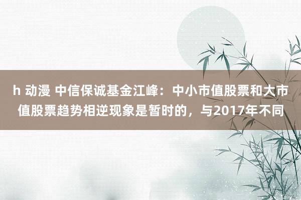 h 动漫 中信保诚基金江峰：中小市值股票和大市值股票趋势相逆现象是暂时的，与2017年不同