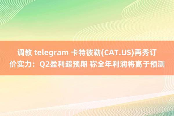 调教 telegram 卡特彼勒(CAT.US)再秀订价实力：Q2盈利超预期 称全年利润将高于预测