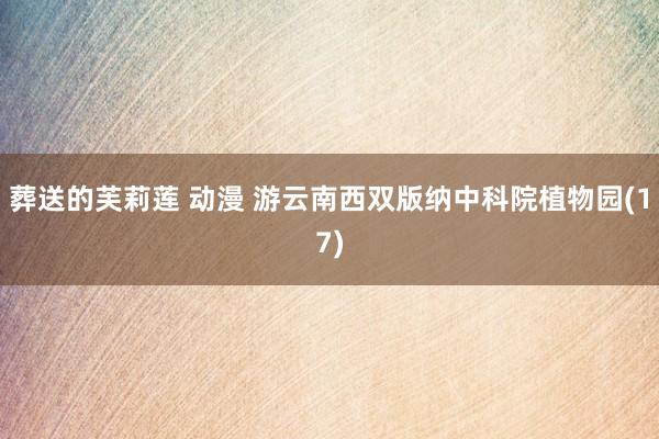 葬送的芙莉莲 动漫 游云南西双版纳中科院植物园(17)