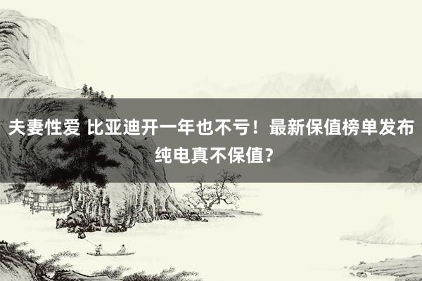 夫妻性爱 比亚迪开一年也不亏！最新保值榜单发布 纯电真不保值？