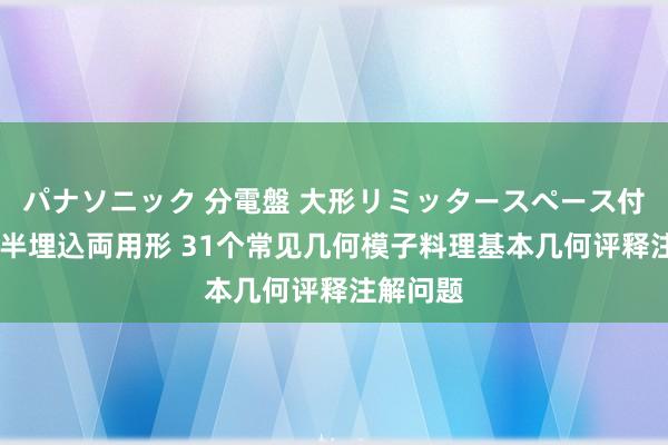 パナソニック 分電盤 大形リミッタースペース付 露出・半埋込両用形 31个常见几何模子料理基本几何评释注解问题