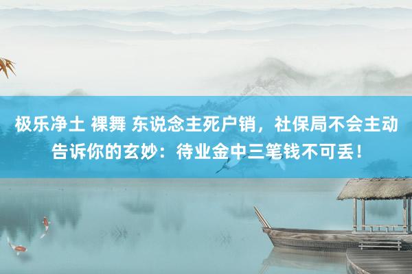 极乐净土 裸舞 东说念主死户销，社保局不会主动告诉你的玄妙：待业金中三笔钱不可丢！