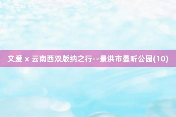 文爱 x 云南西双版纳之行--景洪市曼听公园(10)