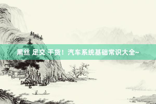 黑丝 足交 干货！汽车系统基础常识大全~