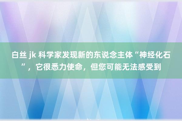 白丝 jk 科学家发现新的东说念主体“神经化石”，它很悉力使命，但您可能无法感受到