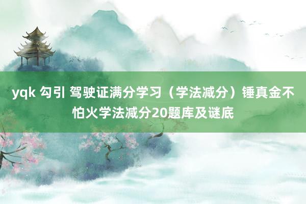 yqk 勾引 驾驶证满分学习（学法减分）锤真金不怕火学法减分20题库及谜底