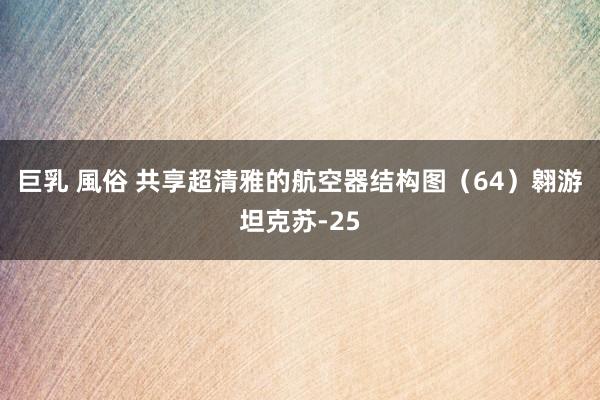 巨乳 風俗 共享超清雅的航空器结构图（64）翱游坦克苏-25